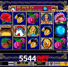 5544bet Rio de Janeiro - Bonus Terms